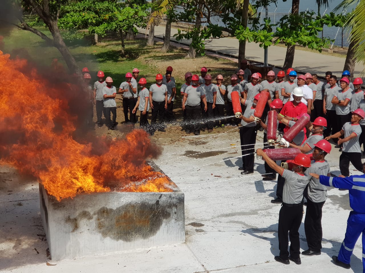 WhatsApp Image 2018-12-19 at 15.13.41 (1).jpeg